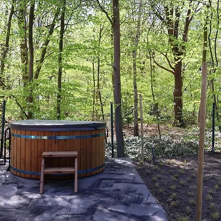 Luxe Houten Wellness Boshuisje Met Prive Hottub - Solea Meijel