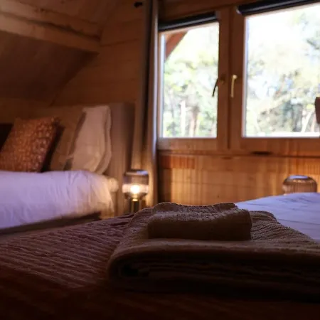 Luxe Houten Wellness Boshuisje Met Prive Hottub - Solea Meijel