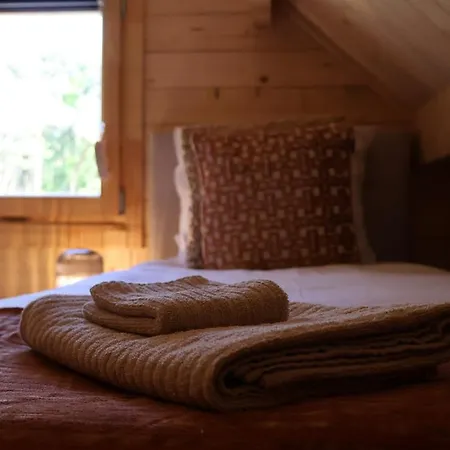 Luxe Houten Wellness Boshuisje Met Prive Hottub - Solea Holiday home