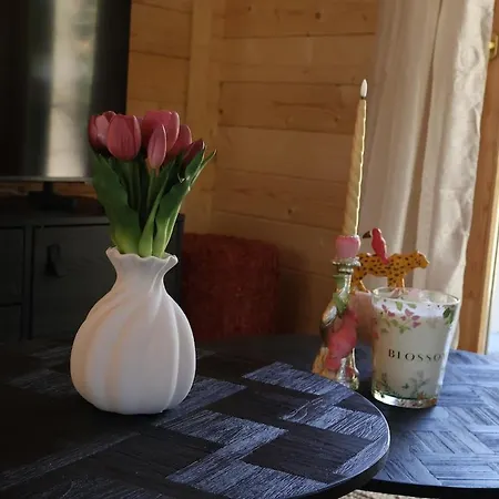 Luxe Houten Wellness Boshuisje Met Prive Hottub - Solea Holiday home *
